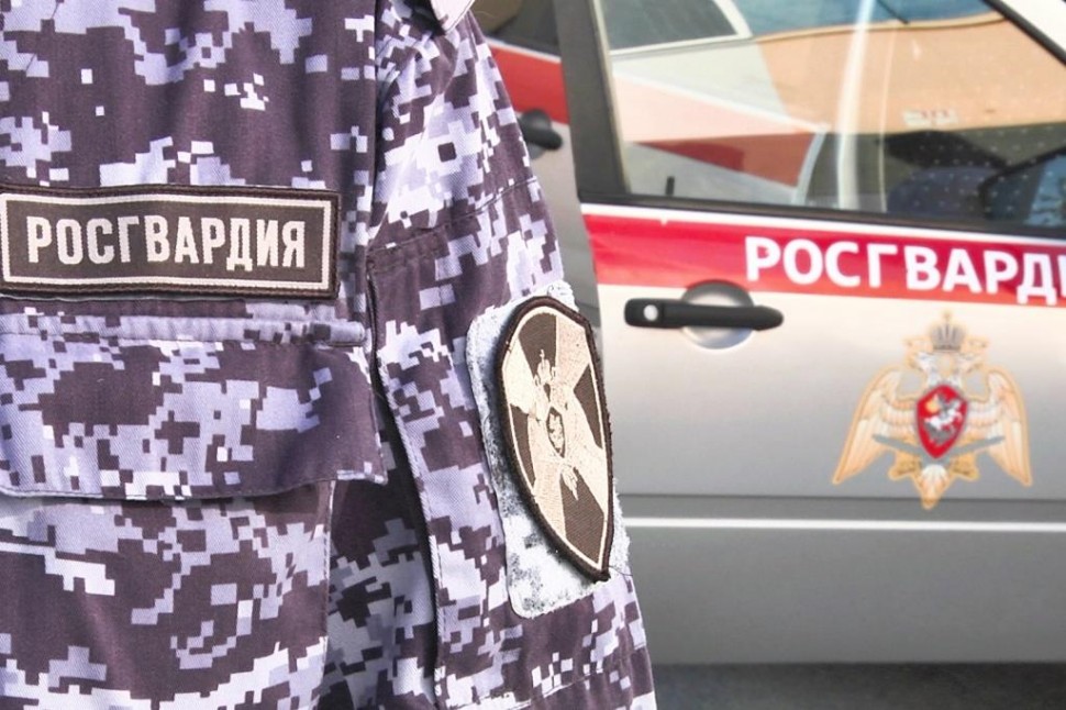 В Архангельске наряд Росгвардии задержал мужчину, похитившего мясные продукты из магазина   
